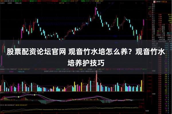 股票配资论坛官网 观音竹水培怎么养？观音竹水培养护技巧